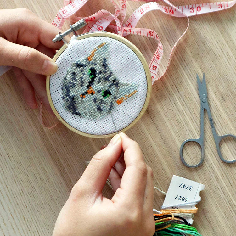 Tabby Cat Mini Cross Stitch Kit