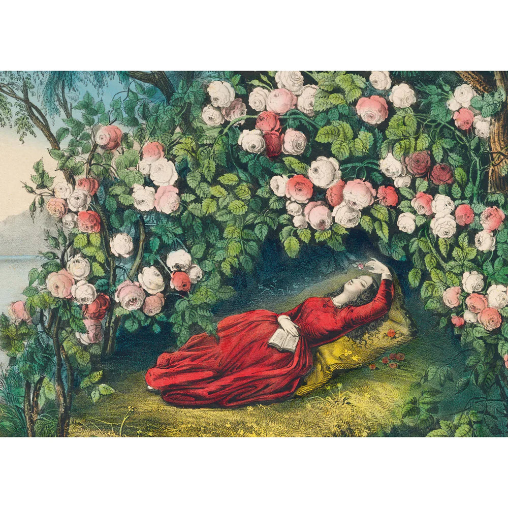 The Bower of Roses John Derian Puzzle