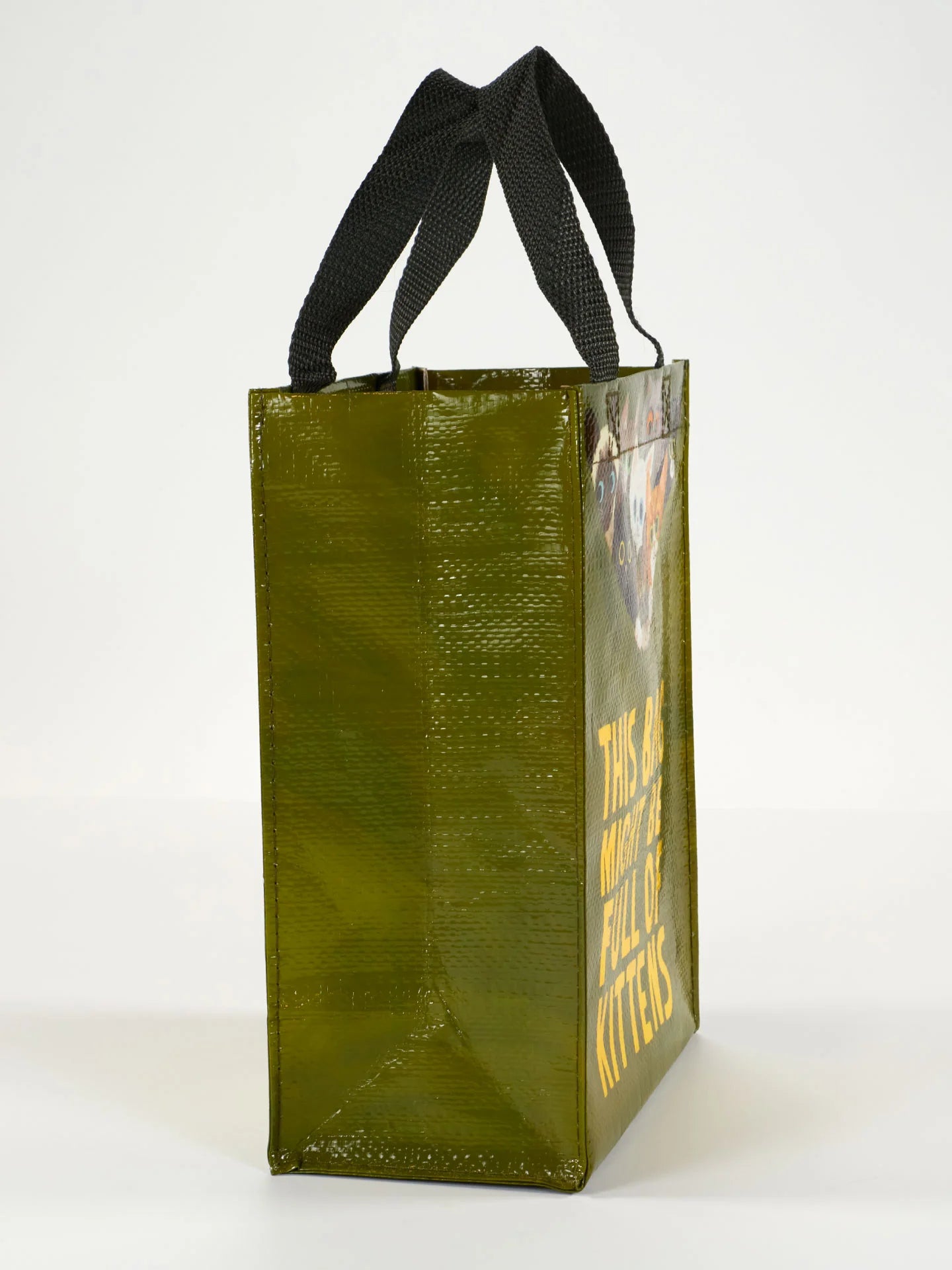 This Bag Might Be Full Of Kittens Handy Tote by Blue Q