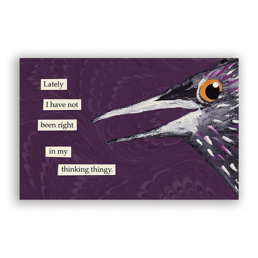 Troubled Birds 2026 Calendar by Mincing Mockingbird