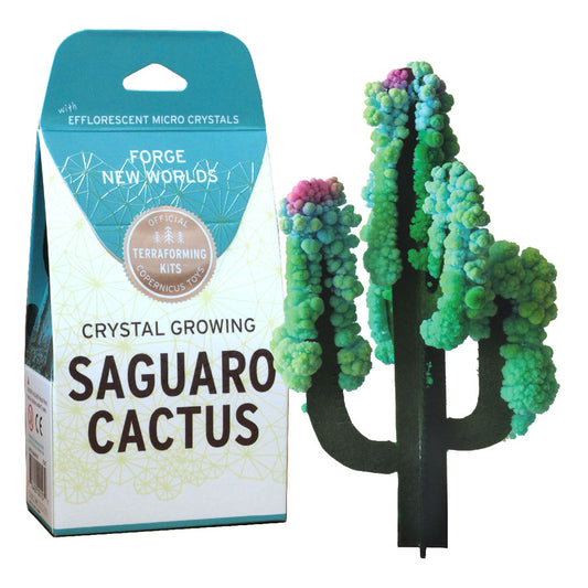 Crystal Growing Saguaro Cactus Kit