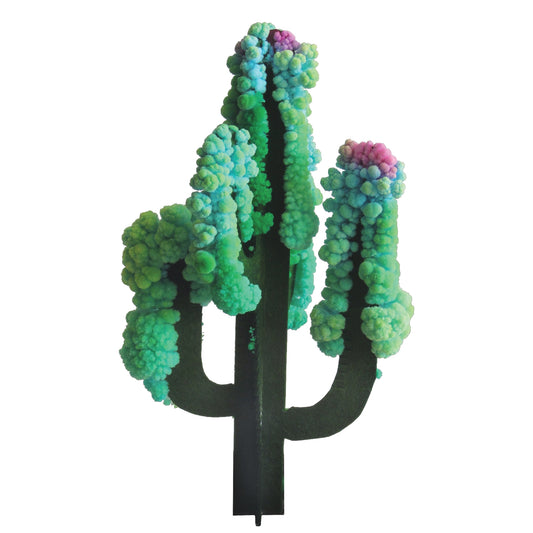 Crystal Growing Saguaro Cactus Kit