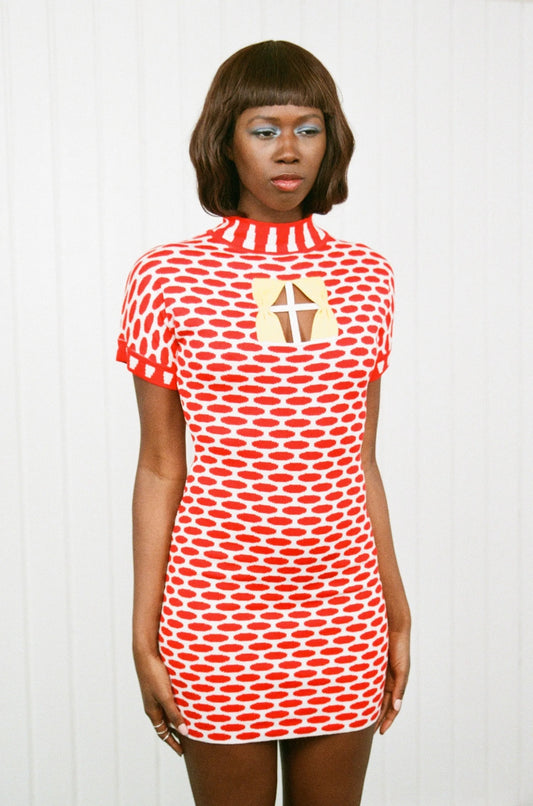 Brick House Dress by Fashion Brand Company