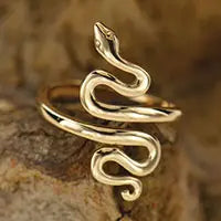 Bronze Snake Ring