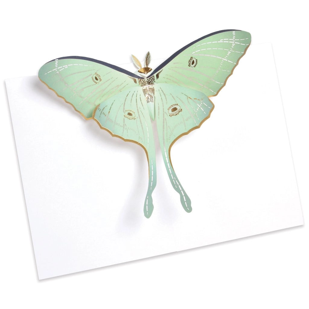 Luna Moth Pop Up Card