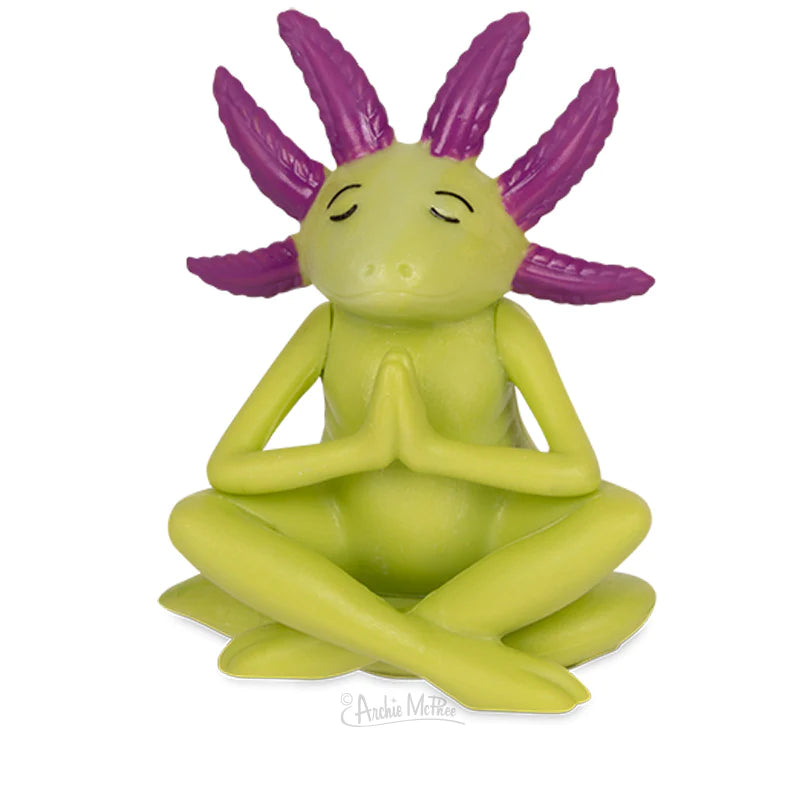 Meditating Axolotl