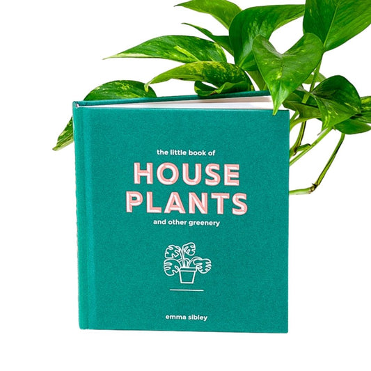 The Little Book of House Plants