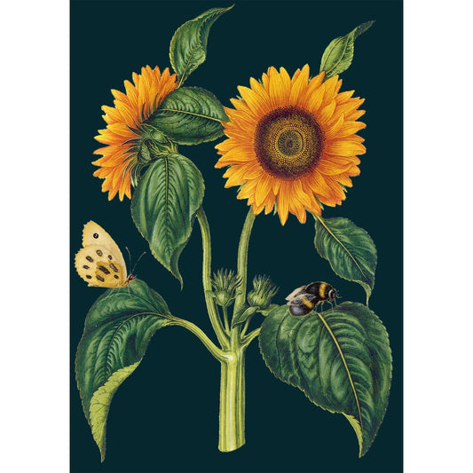 Sunflower Card